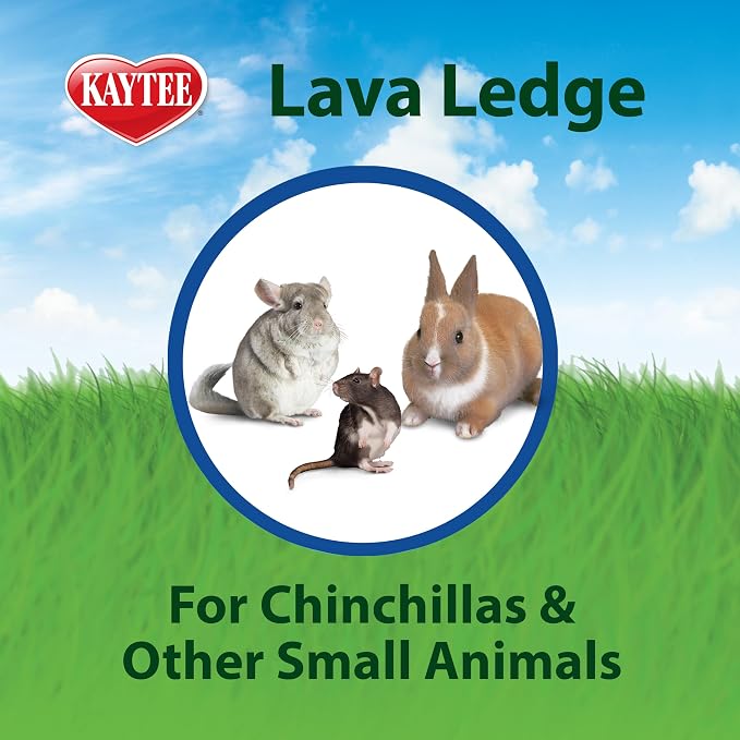Kaytee Lava Ledge for Small Pet Wire Habitats | Active play. Pumice chinchilla cage accessories for jumping. Safe to chew, attaches to wire homes, chinchilla toys