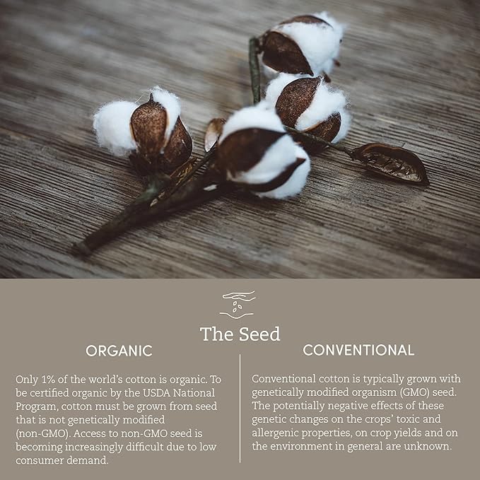 Coyuchi Cloud Loom Organic Towels, Bath Sheet - Alpine White (39" x 65")