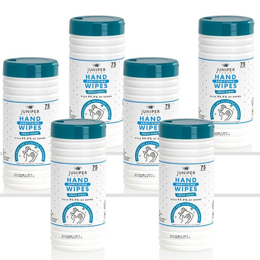 6 Pack Canister Hand Sanitizing Wipes, Alcohol Free 450 Count Canister Disposable Hand Sanitizer Wipes, Fresh Scent, Lint Free & Durable