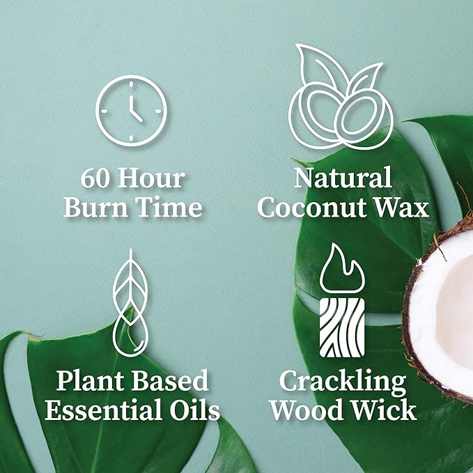 Hemlock Park Crackling Wood Wick Candle Handcrafted with Natural Coconut Wax (Standard 8 oz, Frankincense)