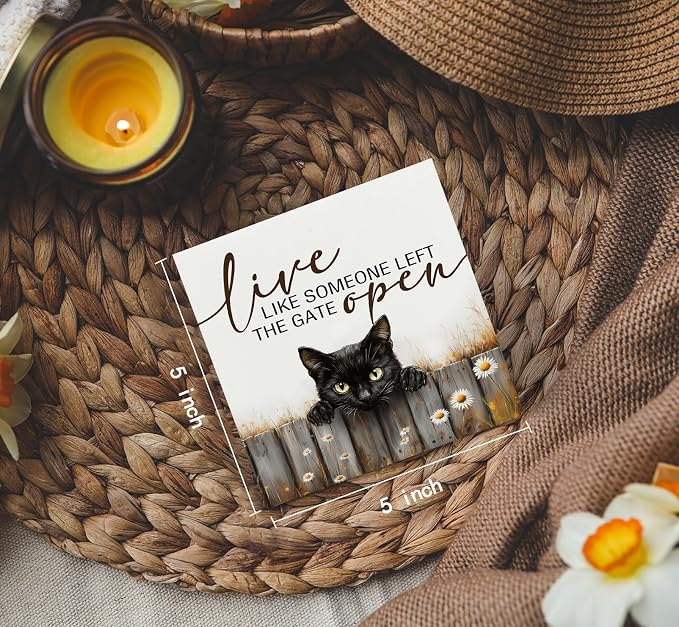 Black Cat Signs -Rustic Farmhouse Live Like Someone Left the Gate Open Signs for Home Decor, Farm Cottagecore Animal Office Kitchen Bedroom Decor, Black Cat Gifts for Women, 5x5