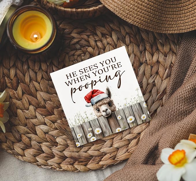 Christmas Alpaca Home Bathroom Decor Sign - Farmhouse Western Christmas Animal Bathroom Decor,Rustic Farm Animal He Sees You When You're Pooping Signs,Alpaca Gifts for Women