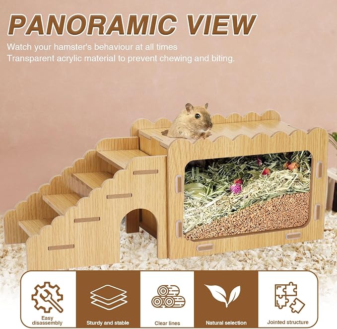 Hamster Digging Box, Small Visible Hamster Digging Room with Acrylic Transparent Board, Hamster Hideout and Exploration House with Climbing Ladder, Hamster Digging Wood Toy for Guinea Syrian Hamsters