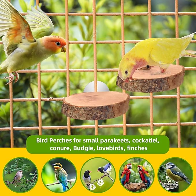4 Pcs Natural Apple Wood Round Bird Perch Platform for Cage | Fits Small Parrots (Budgies, Conures) | Multi-Level Habitat Gym to Relieve Foot Strain | Tool-Free Mount