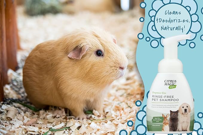 Citrus Magic Pet Rinse-Free Pet Shampoo, 8 Fluid Ounce, 2 Pack | Conditions & Deodorizes Coats, Ideal for Dogs, Cats, Ferrets, Hamsters, Rabbits, Kittens