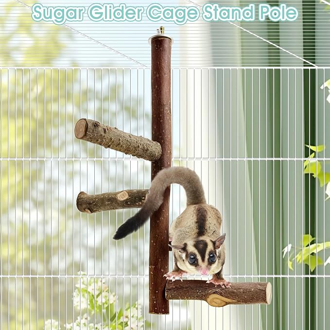 Sugar Glider Toy Natural Fruitwood Perch Stand Squirrel Hanging Wooden Climbing Pole Hamster Paw Grinding Perch Small Animal Cage Accessories for Chinchillas Rats Gerbil