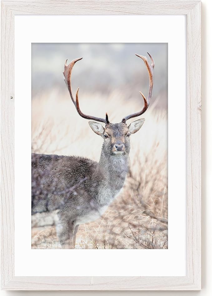 Fun Memories 20x30 Picture Frames, 20"x30" Poster Frame for Wall, 20 x 30 Rustic Wood Frame with Real Tempered Glass, Display Poster 16x24 with Mat or 20 x 30 Without Mat, White, 1 Pack