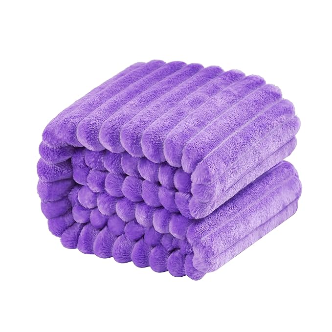 NTBAY Plush Flannel Twin Bed Blanket, 60X80 Inches Soft and Warm Lightweight Bed Blanket with Striped Texture Bed Blanket for Couch Sofa Bed All Seasons, 60"x80", Purple