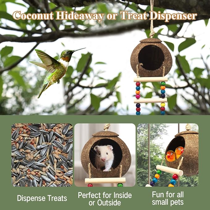 Hanging Coconut Birds House with Ladder, Natural Coconut Bird Nest | Coconut Hide Birds Swing Toys for Parrot Parakeet Lovebird Finch Canary for Hamster, Bird Cage Accessories, Pet Bird Supply