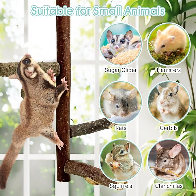 Sugar Glider Toy Natural Fruitwood Perch Stand Squirrel Hanging Wooden Climbing Pole Hamster Paw Grinding Perch Small Animal Cage Accessories for Chinchillas Rats Gerbil