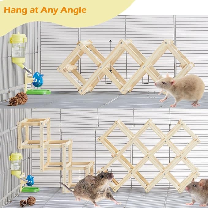 Kiln-Dried Wood Rat Climb Toy, Hanging Cage Ladder Activity (S, 2pcs) | Natural Rat Cage Bridge, Multiple Openings & Directional Ramps Offer Challenges to Satisfy Rats' Instincts for Explore & Play