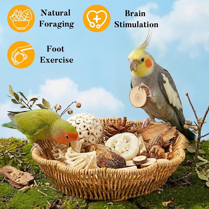 20Pcs Bird Foraging Toy Set with Hanging Basket, Natural Shredding | Chew Enrichment Toys for Parrots Cockatiels, Budgies, Parakeets, Cage or Floor Puzzle Foraging Toys for Mental Stimulation