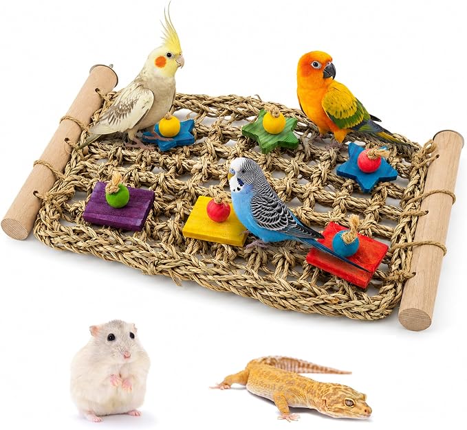 FlidRunest Conure Ladder Perch with Colorful Wood Chew Block | Natural Parrot Seagrass Foraging Mat, Bridge Stands Climbing Hammock Chewing Activity Toy for Parakeets, Lovebird