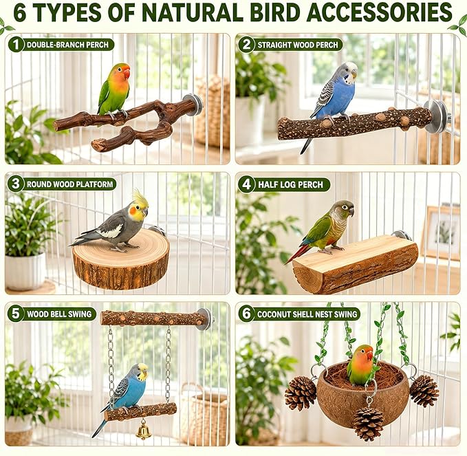 Bird Perch Bird Cage Accessories Parrot Toys Natural Wood 6Pcs Set for Parakeet Cockatiel Conure Lovebird Small Medium Birds