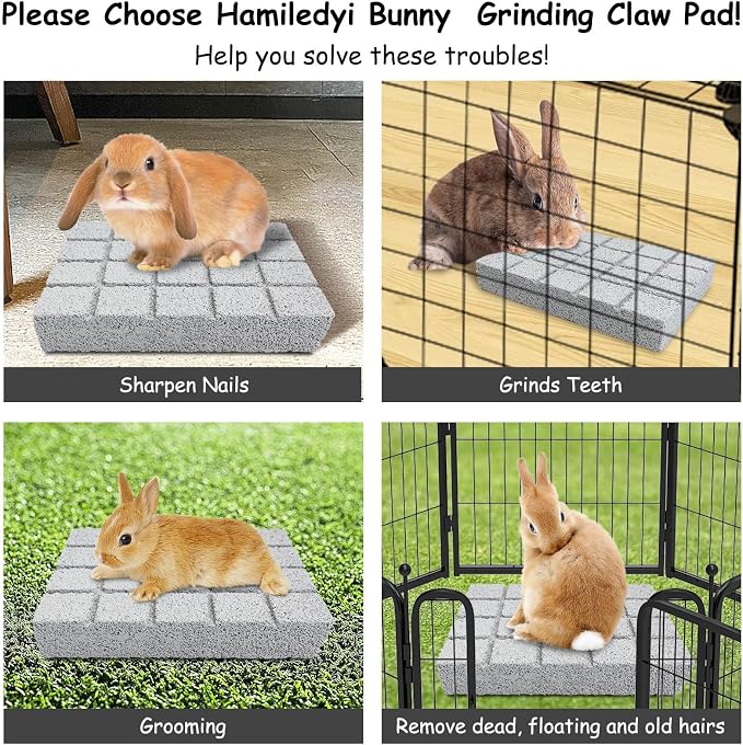 Hamiledyi 6PCS Rabbit Scratching Pads - Lava Stone Grinding Claw Pads & Chew Toys for Small Animals, Hamster, Chinchilla, Hedgehog, Guinea Pig Cage Accessories
