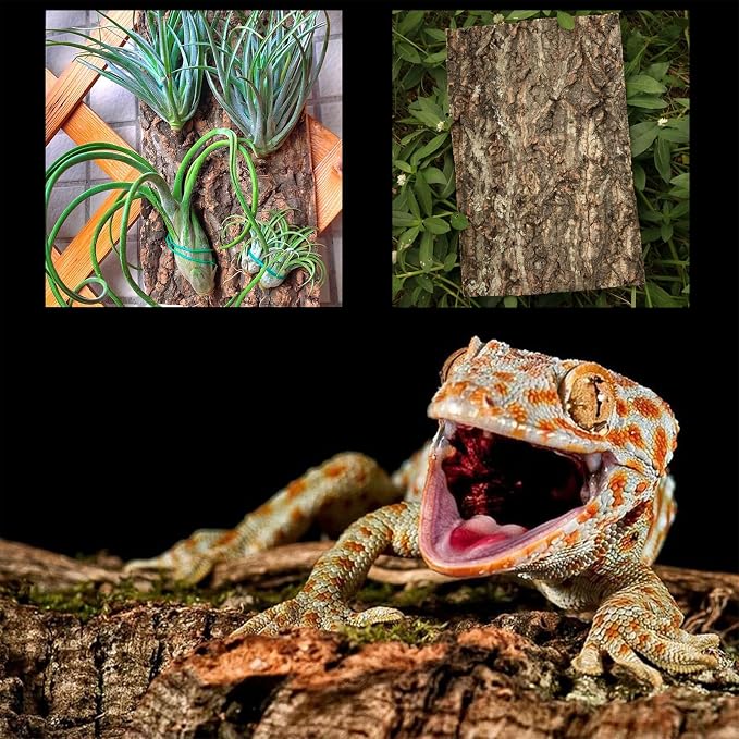 Natural Cork Perch, Bird Cork Seat Boards, Cork Bark Toy, Parrot Chewing Toy Bird Cork Perch Stand for Bird Budgie Parrot Cockatiel Hamster Guinea Pig Rat (1PCS, 30 x 40cm)