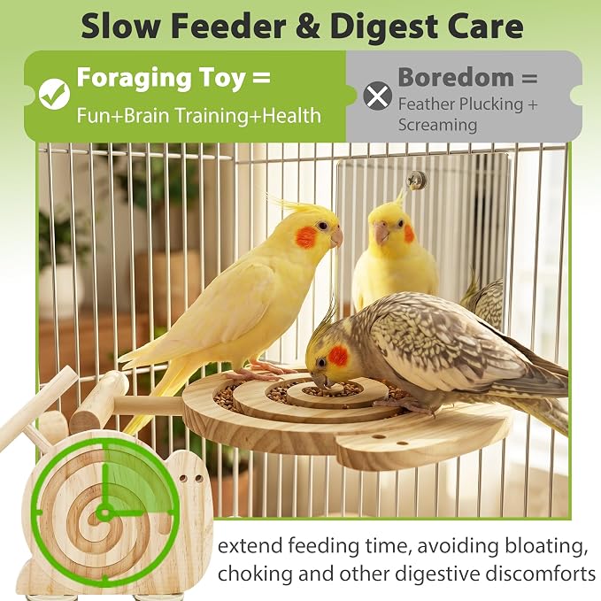 Bird Foraging Toys with Perch & Mirror, Easy for Novice/Older Birds | Kiln-Dried Wood Bird Enrichment Toy for Cage, Slow Feeder & Interaction Puzzle Toy to Reduce Seed Mess, Visible Food Design