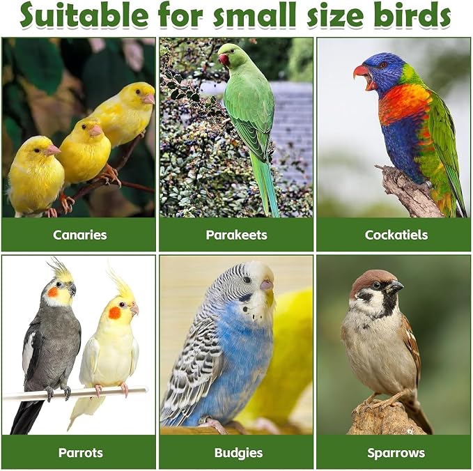 kathson Natural Cork Bird Perch Stand Platform Small Birds Wooden Rectangle Stand Perch Parakeet Chewing Toy Cage Accessories for Lovebirds Cockatiels Conures Parrots(Style A,4PCS)