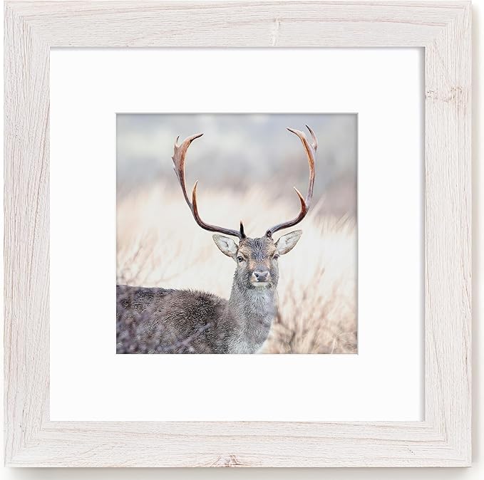 Fun Memories 12x12 Picture Frame, Square Photo Frame 12"x12" with Tempered Glass, 12 x 12 Frames with Mat for 8x8, Solid Elm Wood Photo Frame, 12x12 Rustic Picture Frame for Wall Decor, White, 1 Pack