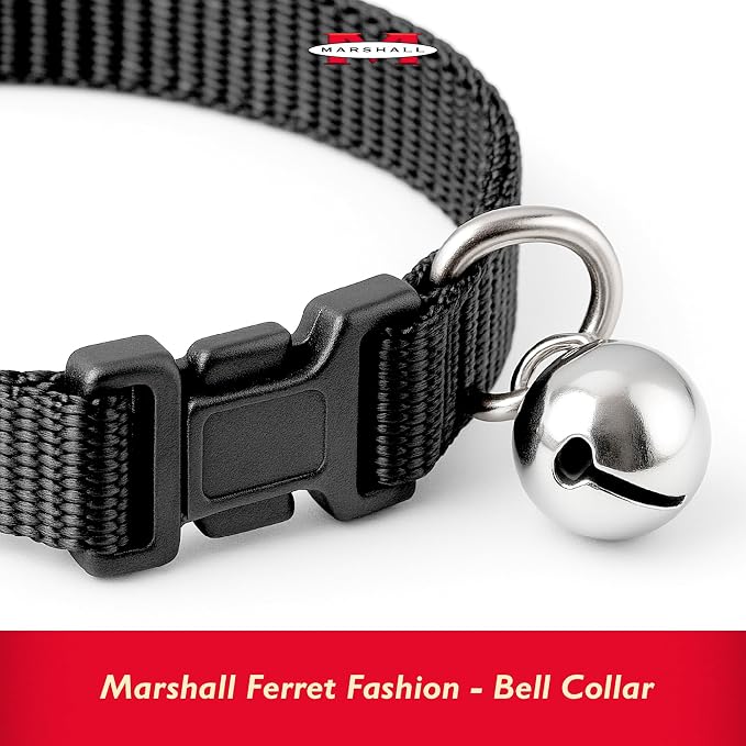 Marshall Pet Ferret Bell Collar Royal Blue