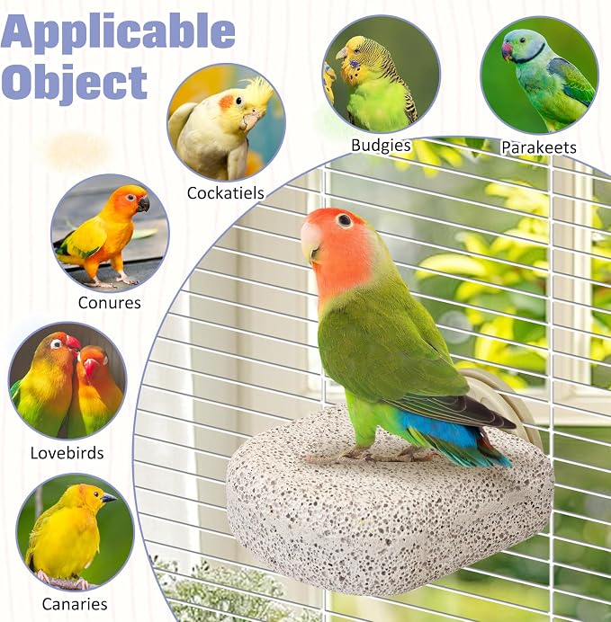 BNOSDM 6PCS Bird Beak Grinding Stone Perch Cage Accessories Parakeets Stand | 2.8*2.6in Natural Volcanic Lava Stone,calcium mineral blocks for birds, bird platform for cage ,Small Bird Toys for Conures