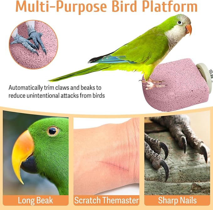 PINVNBY 4 PCS Bird Perch Stands Parrot Calcium Perch Beak Grinding Stone Foot Claws Trimmer Parakeet Platform Parrot Chewing Toys for Small Medium Cockatiel Conure Lovebird Finch(Purple)