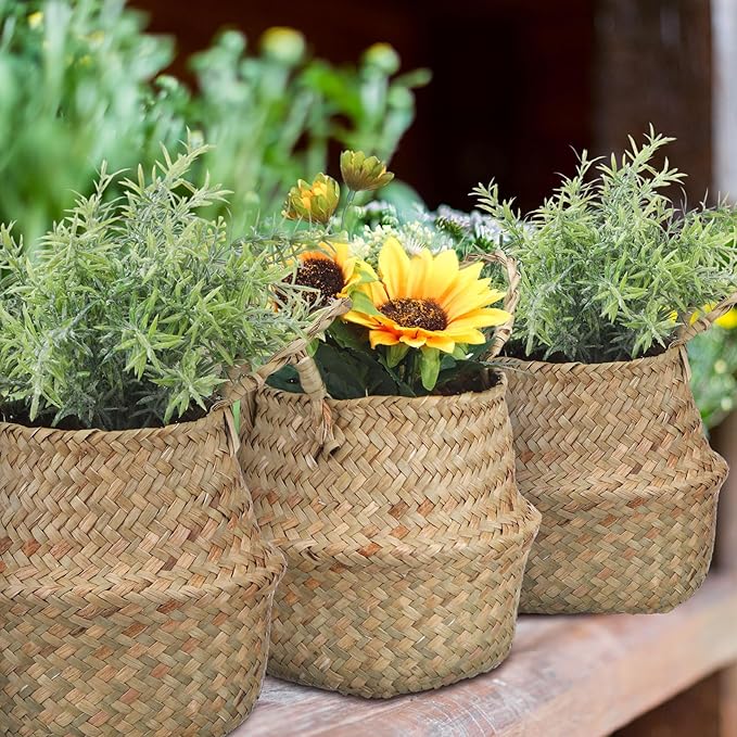 Qunclay 4 Pcs Woven Seagrass Baskets Belly Basket Folding Boho Natural Plant Pot with Handles Round Decorative Wicker Large Indoor Planter for Home Outdoor Tree Planters Decor (5.5 x 6.3 Inch)
