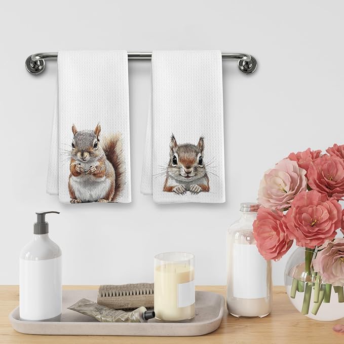 Funny Fall Squirrel Kitchen Towels and Dishcloths Sets of 2, Squirrel Decor Gifts, Woodsy Rustic Cabin Lodge Forest Nursery Home Decor Dish Hand Tea Towels for Bathroom Kitchen, 16x24 Inches