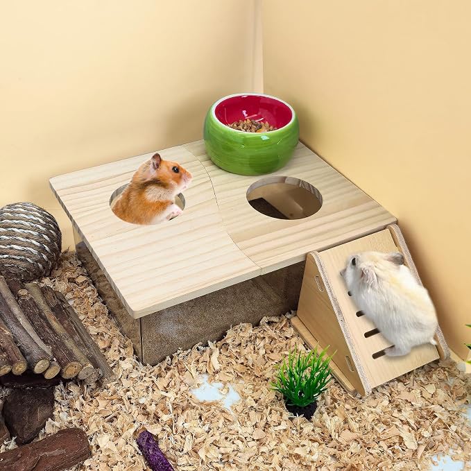 PINVNBY Hamster Sand Bath Box, Transparent Acrylic Shower, Gerbils Digging Room Container with Climbing Ladder and Ceramic Bowl, Litter Box for Hamsters Guinea Pigs Mice (Two Hole)