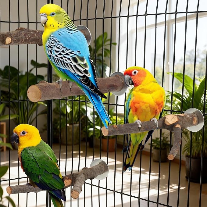 6 Pack Natural Wood Bird Perches for Cage, Wooden Parrot Perch | Wood Bird Stand Toy, Hardwood Branches, Climbing & Chew Toy for Bird Cage Accessories, Ideal for Parakeets Budgies Cockatiels