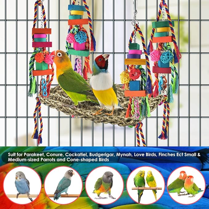 KATUMO Bird Toys, Bird Foraging Wall Toy Large Size Seagrass Woven Climbing Hammock Swing Mat with Colorful Chewing Toys for Lovebird, Parakeet, Budgie, Conure, Cockatiel, Small Birds | Hand-Woven Seagrass Toy with Chew Accessories, Supports Climbing, ...