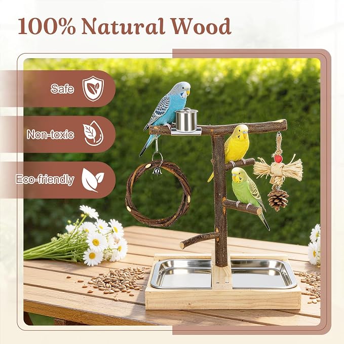 Bird Playground Natural Wooden Parrot Play Stand | Apple Branch Swing, Chew Toys, Feeding Cups, Suitable for Small and Medium Birds Like Parakeets, Budgerigars, Cockatiels