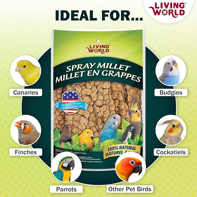 Living World – Millet Spray for Birds,7 Oz – Premium Treat for Budgies,Canaries,Finches,Cockatiels and Other Pet Birds,(Pack of 2)