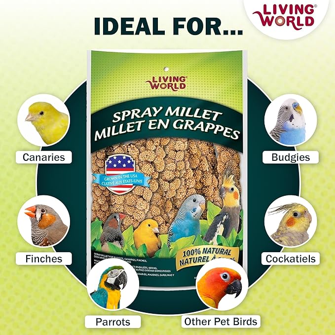Living World - Millet Spray for Birds, 5 Pounds | Premium Treat for Budgies, Canaries, Finches, Cockatiels and Other Pet Birds