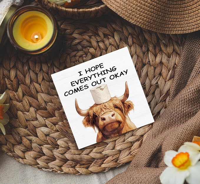 Highland Cow Bathroom Decor Sign, Funny Highland Cow Bathroom Decor, I Hope Everything Comes Out Okay Wood Decoration Bath Room Decor For Washroom Toilet Counter Shelf Table 5x5 Inch