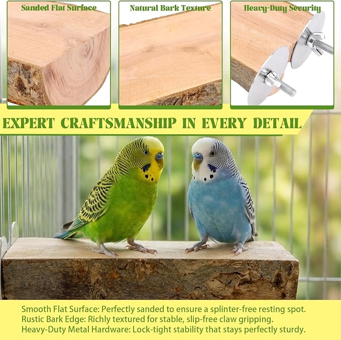 2PCS Large Flat Bird Perch Platform for Cage (6" x 3.15") | Natural Apple Wood Foot-Care Wooden Perches Stand, Small Bird Toy & Accessories for Cockatiels, Conures, Budgies, Lovebirds