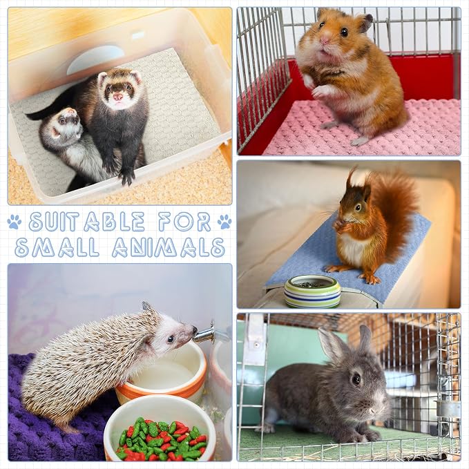 SmoothNovelty 5 Waterproof Guinea Pig Blankets, Multicolored, 18 x 24 Inch | Multicolored Plush Texture, Waterproof Pee Pad, Washable Coral Fleece Bedding Mat, for Guinea Pig Rabbit Cage