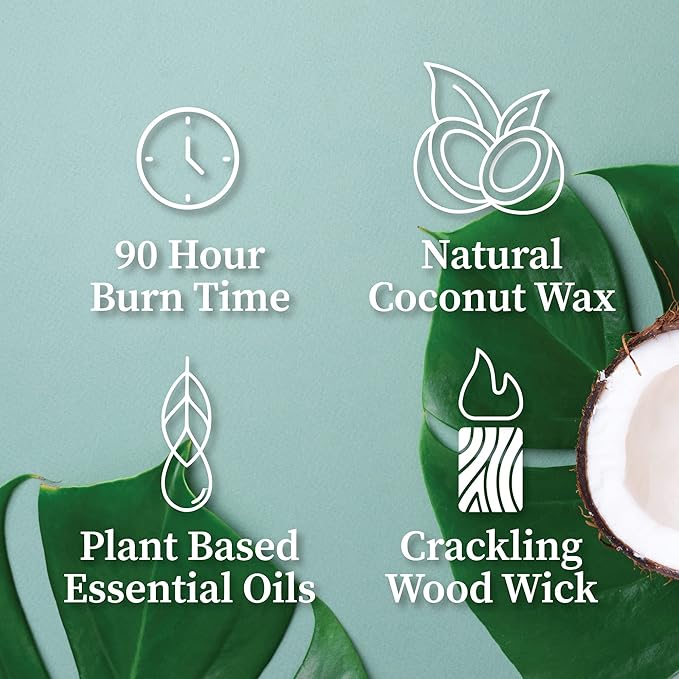 Hemlock Park Crackling Wood Wick Candle Handcrafted with Natural Coconut Wax (Large 16 oz, Ginger)