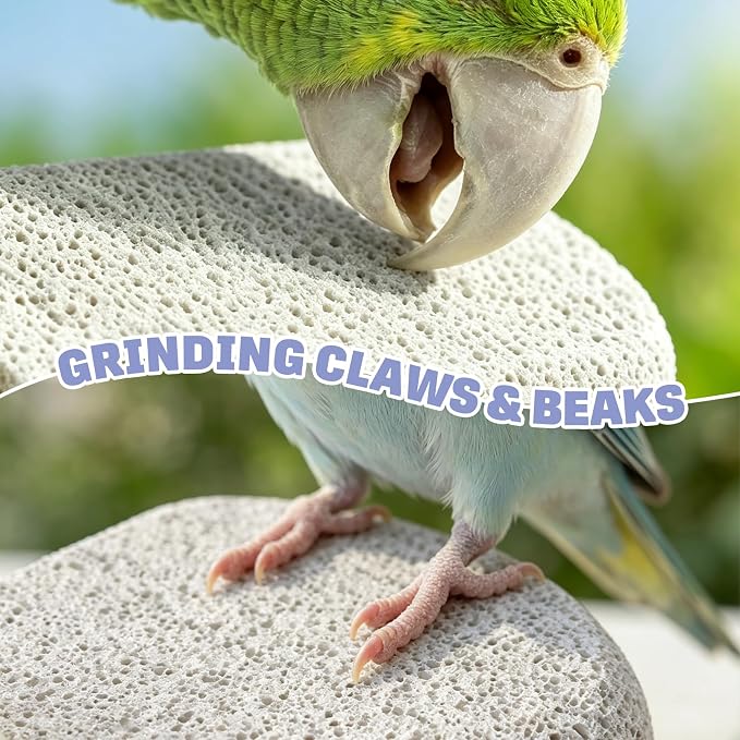 BNOSDM 6PCS Bird Beak Grinding Stone Perch Cage Accessories Parakeets Stand | 2.8*2.6in Natural Volcanic Lava Stone,calcium mineral blocks for birds, bird platform for cage ,Small Bird Toys for Conures