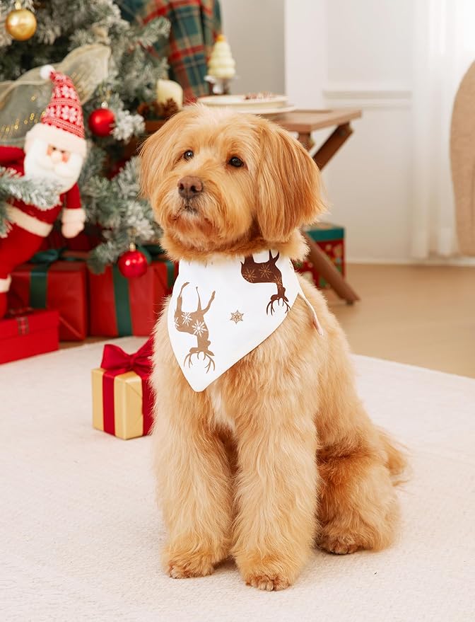 PATPAT Christmas Family Matching Pajama Sets Includes Christmas Socks - Perfect for Family Photos & Holiday Celebrations