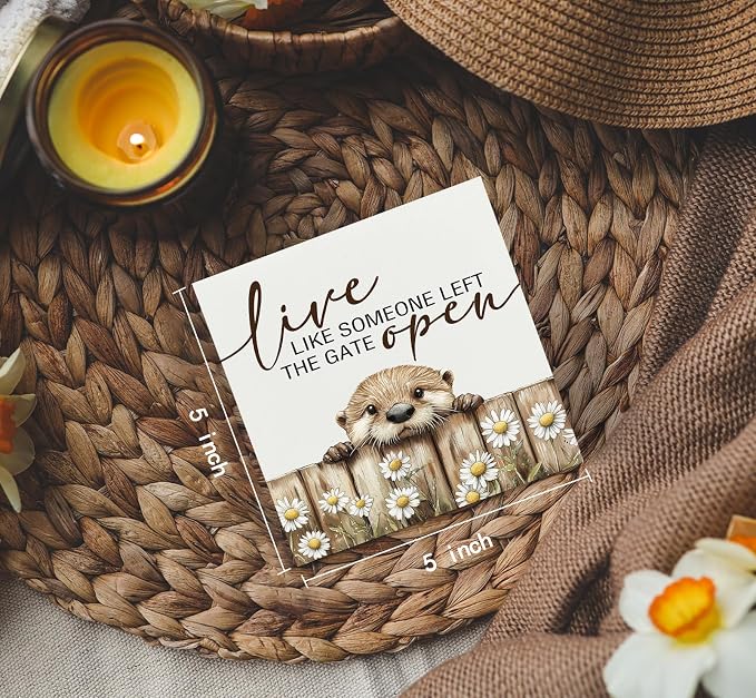 Funny Otter Wooden Box Sign -Rustic Farmhouse Live Like Someone Left the Gate Open Signs for Home Decor, Farm Cottagecore Animal Office Kitchen Bedroom Decor, Otter Gifts for Women, 5x5