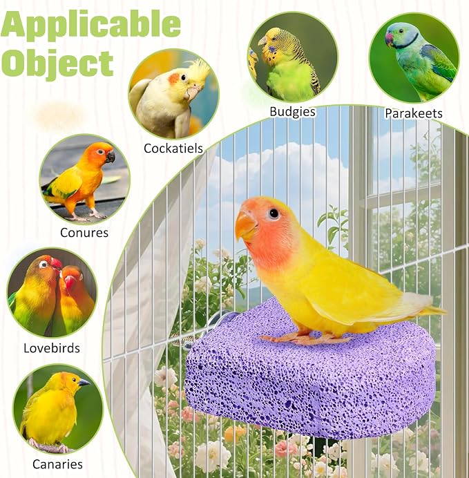 BNOSDM 4 Pcs Purple Bird Beak Grinding Stone Calcium Parrot Perch 3.1*2.6in | Natural Volcanic Lava Stone, Mineral Block, Birds cage platform for Parakeets Cockatiels Conures,Biting Toys for Small Bird