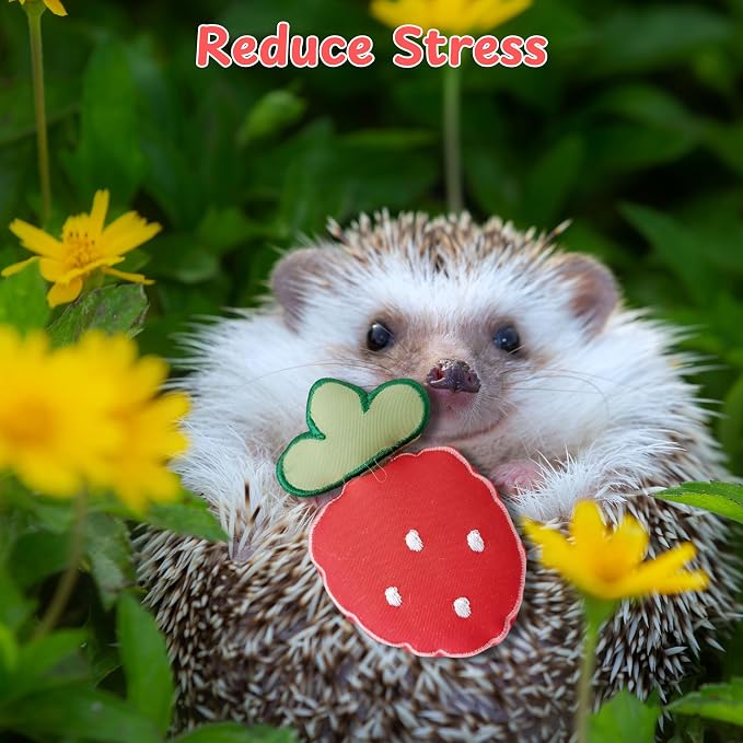 Hedgehog Snuggle Sack, Hanging Fleece Hideout and Sleeping Pouch with Soft Rest Pad for Hedgehogs, Hamsters, Guinea Pigs, Rats, Ferrets & Sugar Gliders (Strawberry, M)