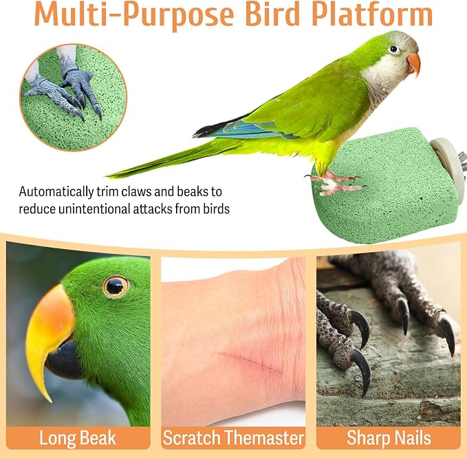 PINVNBY 4 PCS Bird Perch Stands Parrot Calcium Perch Beak Grinding Stone Foot Claws Trimmer Parakeet Platform Parrot Chewing Toys for Small Medium Cockatiel Conure Lovebird Finch(Green)
