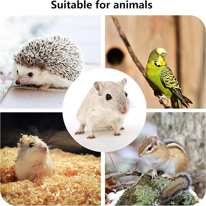 Hamster Wooden Platform with Legs, Small | Small Animal Climbing Ladder, Standing Rat Guinea Perch, Chew Toy, Cage Accessories