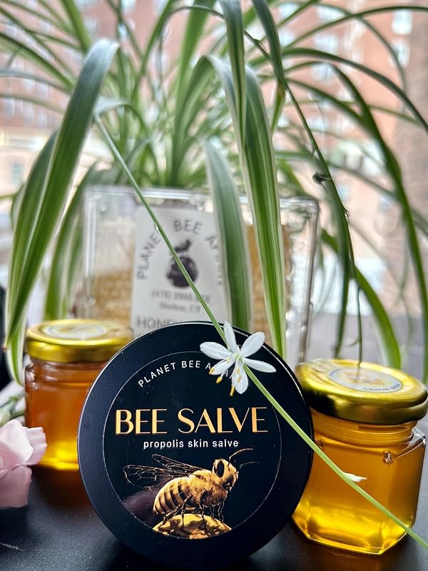 Salve, Hand Salve, Healing Balm, Dry Skin Salve with Beeswax and Propolis, Skin Repair, Moisturizer, All Natural, Planet Bee Apiary ORANGE BLOOSOM BEE SALVE 1 oz