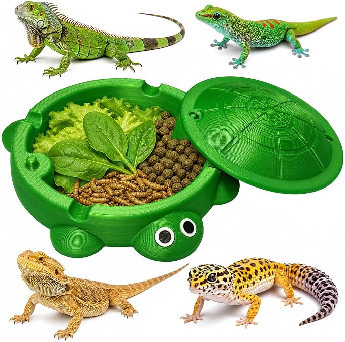 Bearded Dragon Food Bowl Tank Turtle Reptile Dig Box for Feeding Enrichment Terrarium Decor Habitat for Small Animal Reptiles Lizard Turtle Squirrel Ferret (Green)