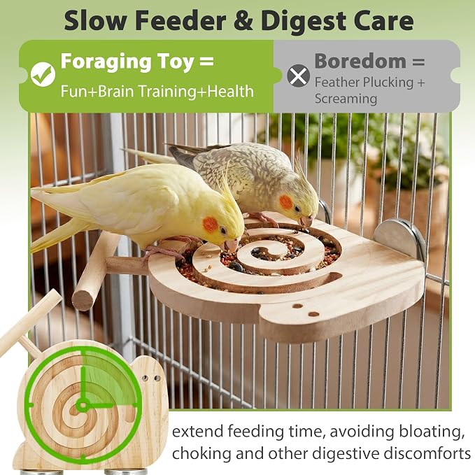 Bird Foraging Toys with Perch, for Novice/Older/Slow-Learning Birds | Kiln-Dried Wood Bird Enrichment Toys for Slow Feeder, Parakeet Puzzle Toy for Cages Reduce Seed Mess, Visible Food Design