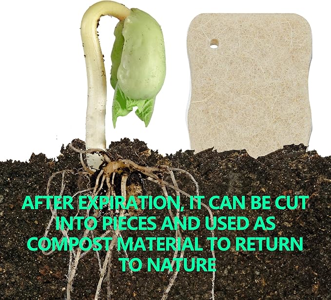 Kitchen Biodegradable Reusable Non Scratch Natural Cellulose Cleaning Sponge, Piece of 10