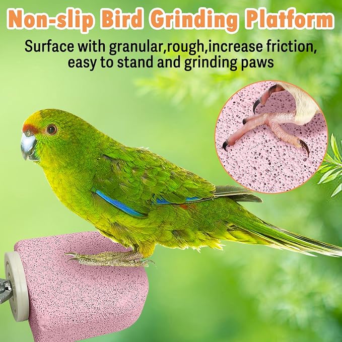 PINVNBY 4 PCS Bird Perch Stands Parrot Calcium Perch Beak Grinding Stone Foot Claws Trimmer Parakeet Platform Parrot Chewing Toys for Small Medium Cockatiel Conure Lovebird Finch(Purple)